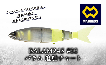BALAM245 #22 バラム 追鮎チャート〈マドネス、ビックベイト、スイムベイト、ジャイアントベイト、釣り、バス釣り、ルアー、釣り具、スポーツ〉雑貨 日用品