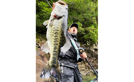 バクリースピン 20 #10 チャート〈釣り、ルアー、釣り具、スポーツ〉雑貨 日用品