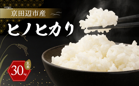京田辺市産 ヒノヒカリ 30kg 玄米 R7年度産 お米 米 こめ コメ 精米 白米 ごはん ご飯 弁当 おにぎり 防災 京田辺市 京都府