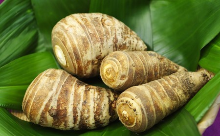 えびいもセット 京都えびいも2kg えびいも太郎が大好きなえびいもスープ5箱 京都府京田辺市 ふるさと納税サイト ふるなび