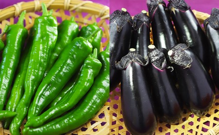 万願寺とうがらしと京都田辺茄子の「京野菜セット」