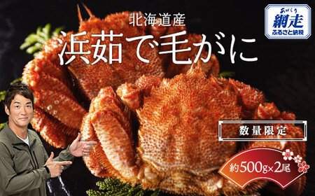 【数量限定】＜北海道産＞浜茹で毛がに【約500g×2尾】（網走加工） 【 毛蟹 毛ガニ 毛がに かに味噌 カニみそ 】 ABC016