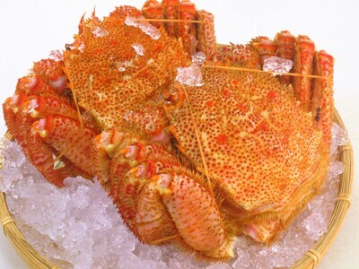 【数量限定】＜北海道産＞浜茹で毛がに【約500g×2尾】（網走加工） 【 毛蟹 毛ガニ 毛がに かに味噌 カニみそ 】 ABC016