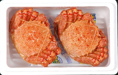 【数量限定】＜北海道産＞浜茹で毛がに【約500g×2尾】（網走加工） 【 毛蟹 毛ガニ 毛がに かに味噌 カニみそ 】 ABC016