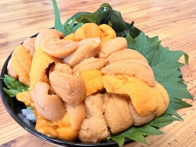 【先行予約】冷凍エゾバフンウニ50g×1折+いくら80g×1本+ホタテ500gセット(網走市産)(2025年5月15日以降発送) ABAO2002