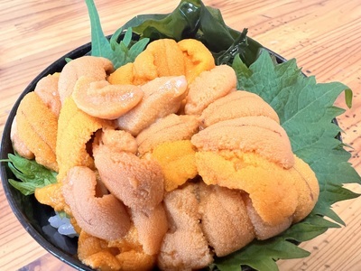 【先行予約】冷凍エゾバフンウニ50g×2折＋いくら80g×2本＋ホタテ500gセット（網走市産）（2026年4月下旬より発送） ABAO2005