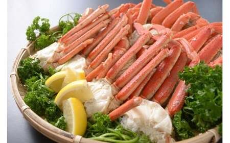 美味ズワイ蟹の脚2kgセット(オホーツク海産・網走加工) ABAO2153 | ズワイ蟹