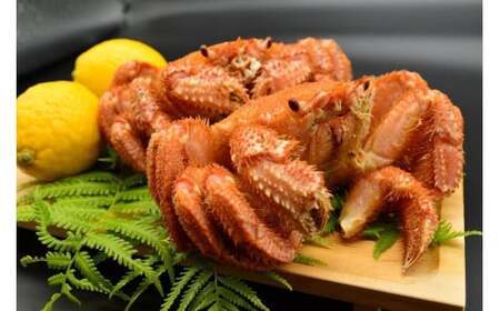 【先行予約】オホーツク海明け活〆浜茹で毛蟹2尾冷蔵届け（オホーツク海産・網走加工）（2026年4月15日以降発送） ABAO2180