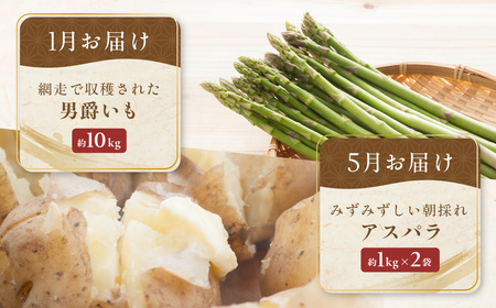 【定期便6回】網走美味農産物定期便「年6回お届け」（網走加工） ABAO1026