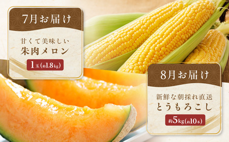 【定期便6回】網走美味農産物定期便「年6回お届け」（網走加工） ABAO1026