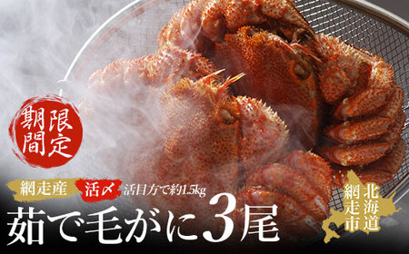 【先行予約 期間限定】＜網走産＞流氷海明け活〆茹で毛がに 3尾セット【2026年4月上旬発送開始予定】 ABAO1058