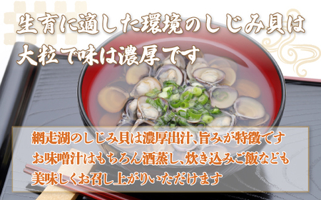 網走湖産大粒しじみ貝150g×6袋 【 ふるさと納税 人気 おすすめ ランキング しじみ シジミ 蜆 しじみ貝 シジミ貝 貝 北海道しじみ 北海道シジミ しじみ北海道 シジミ北海道 大粒 汁 味噌汁 網走湖 網走湖産 北海道 網走市 送料無料 】 ABF012