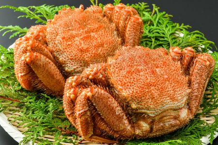 【数量限定】＜網走前浜産＞【流氷明けの堅ガニ厳選！】活〆浜茹で毛がに 【2尾 計1.0kg】 ABAI008