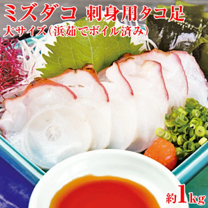 刺身用タコ足 1足1kg＜網走加工＞ 【 ふるさと納税 人気 おすすめ ランキング オホーツク産 タコ ミズダコ タコ足 北海道 網走市 送料無料 】 ABX002