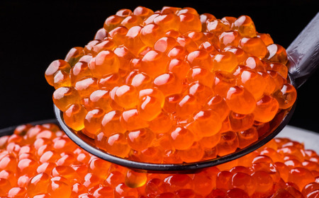 【定期便】オホーツク海鮮グルメ定期便 6回 ※着日指定不可 ※離島への配送不可 ABAO068 | 定期便 ホタテ ホタテ貝柱