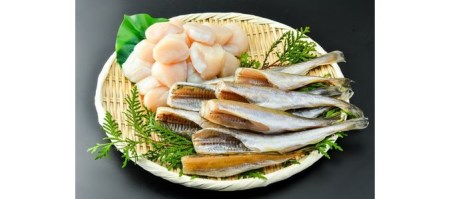 網走前浜産 無添加ホタテ貝柱【300g】&天日生干し氷下魚(コマイ)【500g】【松木商店】