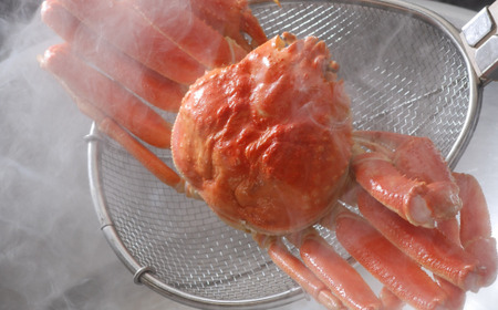 【定期便】＜冷蔵＞網走から海の幸　毛ガニ、ズワイガニ、うに、活ホタテ、きんき等 全5回 ABAO075 | 定期便 毛ガニ ウニ