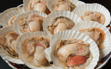 【定期便】＜冷蔵＞網走から海の幸　毛ガニ、ズワイガニ、うに、活ホタテ、きんき等 全5回 ABAO075 | 定期便 毛ガニ ウニ