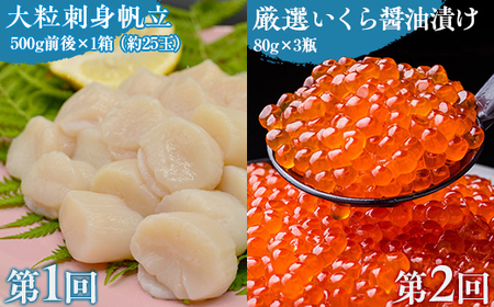 【毎月定期便】網走自慢の美味定期便(刺身帆立・いくら醤油漬け・イカ刺身)全3回 【 ホタテ ほたて 帆立 いくら イクラ いくら醤油漬 イクラ醤油漬 】 ABAO089