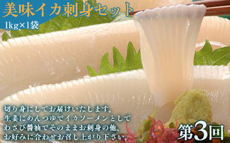 【毎月定期便】網走自慢の美味定期便(刺身帆立・いくら醤油漬け・イカ刺身)全3回 【 ホタテ ほたて 帆立 いくら イクラ いくら醤油漬 イクラ醤油漬 】 ABAO089