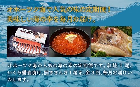 【毎月定期便】オホーツク海の人気の紅鮭1尾、いくら醤油漬け、開ききんき1尾の定期便全3回 【ふるさと納税 人気 おすすめ ランキング いくら イクラ いくら醤油漬 イクラ醤油漬 紅じゃけ 紅鮭 紅サケ シャケ きんき キンキ 開ききんき 開きキンキ 定期便 北海道 網走市 送料無料】 ABAO091