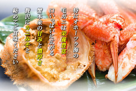 【12/30までお届け受付中】北海道網走産毛ガニ（440g前後×1尾） ABE080 | 毛ガニ