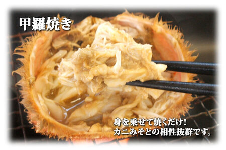 【12/30までお届け受付中】北海道網走産毛ガニ（440g前後×1尾） ABE080 | 毛ガニ