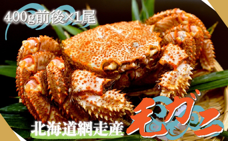 北海道網走産毛ガニ（400g前後×1尾） ABE081 | 毛がに