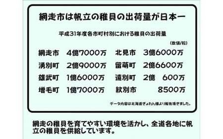 オホーツク産 冷凍帆立（ほたて）の貝柱 ４Ｓサイズ１kg 【 ふるさと納税 人気 おすすめ ランキング ほたて ホタテ 帆立 貝柱 ホタテ貝柱 ほたて貝柱 帆立刺身 刺身 ほたて刺身 帆立貝柱 魚介 魚介類 オホーツク産 新鮮 バター焼き 北海道 網走市 送料無料 】ABX070