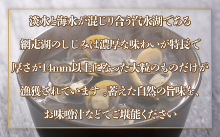 網走湖産 天然大粒 大和しじみ 2kg ※着日指定不可 【 ふるさと納税 人気 おすすめ ランキング しじみ シジミ 蜆 大和しじみ 貝 魚貝類 網走湖産 砂抜き済 冷凍 味噌汁 大粒 天然 北海道 網走市 送料無料 】 ABX073
