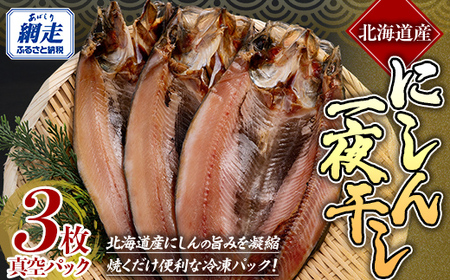 にしん一夜干し 【 ふるさと納税 人気 おすすめ ランキング にしん 干物 一夜干し 3枚 開き 魚 北海道産 お手軽 簡単 おかず 冷凍 絶品 贈答 ギフト 贈り物 家庭用 オホーツク 北海道 網走市 送料無料 】 ABE088