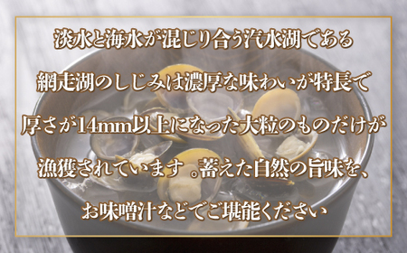 【先行予約】網走湖産 天然大粒 大和しじみ 1.2kg ※着日指定不可(2026年5月20日以降発送予定) 【 ふるさと納税 人気 おすすめ ランキング しじみ シジミ 蜆 大和しじみ 貝 魚貝類 網走湖産 砂抜き済 冷凍 味噌汁 大粒 天然 北海道 網走市 送料無料 】 ABX072