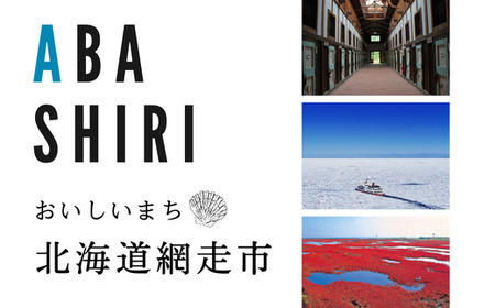 【先行予約】北海道産ほたて貝柱（冷凍）1kg（世界基準の規格認証を取得した工場からの贈り物）【 ふるさと納税 人気 おすすめ ランキング ほたて ホタテ 帆立 貝柱 ほたて貝柱 ホタテ貝柱 北海道産 ホタテ刺身 刺身ほたて 冷凍 刺身 バター焼き 新鮮 1kg ギフト 贈答 贈り物 自宅用 家庭用 オホーツク 北海道 網走市 送料無料 】 ABAB004