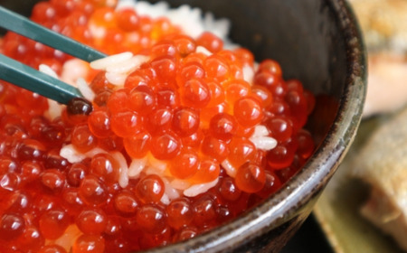 【2025年新物】北海道網走産醤油いくら（鮭卵）500g ABAE1007 | いくら