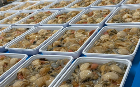 【ふるなびWEEK対象】【先行予約】冷凍生剥きほたて 2kg（500g×4）（2026年3月より順次発送） ABAE010 | FN-Limited-PR