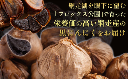 【先行予約】【訳あり】フロックス公園自慢の黒にんにく（2025年8月より発送予定） 【 ふるさと納税 人気 おすすめ ランキング にんにく ニンニク 黒にんにく 黒ニンニク 野菜 網走産 ギフト 贈り物 贈答 オホーツク 北海道 網走市 送料無料 】 ABBJ001