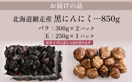 【先行予約】【訳あり】フロックス公園自慢の黒にんにく（2025年8月より発送予定） 【 ふるさと納税 人気 おすすめ ランキング にんにく ニンニク 黒にんにく 黒ニンニク 野菜 網走産 ギフト 贈り物 贈答 オホーツク 北海道 網走市 送料無料 】 ABBJ001