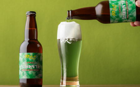 網走ビール10本 ABH076 | ビール