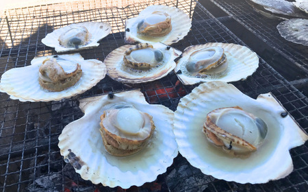 【先行予約】北海道網走産天然活ホタテ貝 4kg前後（令和7年7月より順次発送）| 活ホタテ 活きほたて ホタテ ほたて 帆立 活ほたて 北海道 網走市 ABAE017