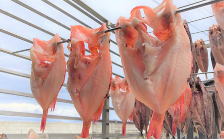 高級ブランド釣きんき一夜干【Lサイズ】 2尾 ABJ015