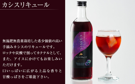 カシスリキュール1本セット 【 お酒 リキュール カシス カシスリキュール 手摘み 手摘みカシス 贈答 ギフト 】 ABH1003