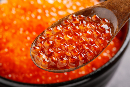 【12月23日までのご入金で年内発送】網走産 秋鮭いくら 親子セット ABBI003