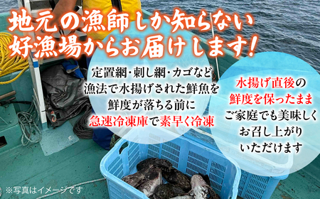 【訳あり】漁師セレクト！オホーツク海のおまかせ鮮魚BOX 約4kg ABBY001