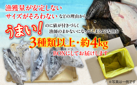 【訳あり】漁師セレクト！オホーツク海のおまかせ鮮魚BOX 約4kg ABBY001