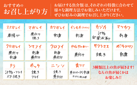 【訳あり】漁師セレクト！オホーツク海のおまかせ鮮魚BOX 約4kg ABBY001