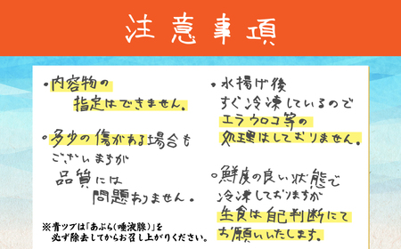 【訳あり】漁師セレクト！オホーツク海のおまかせ鮮魚BOX 約4kg ABBY001