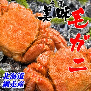 北海道網走産 毛ガニ 440g前後 1尾 【三洋食品】