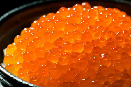 オホーツク産 絶品 厳選甘口鮭いくら醤油漬 600g 網走加工 丸北北都 北海道網走市 ふるさと納税サイト ふるなび