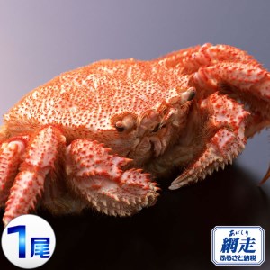 毛ガニ 北海道 オホーツク海 網走産 毛がに 400g前後 1尾 ボイル冷凍 毛がに ギフト 毛蟹 カニ 北海道 お取り寄せ グルメ 北海道 網走市 ※一部地域を除く