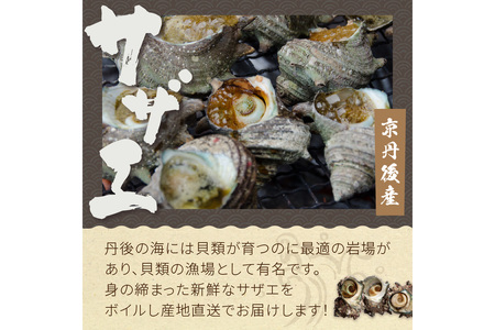 【先行予約】大満足！京丹後・海鮮BBQ　Bセット　貝づくし蒸しアワビ付　4種14品（3～4人前）（2024年4月下旬～発送）